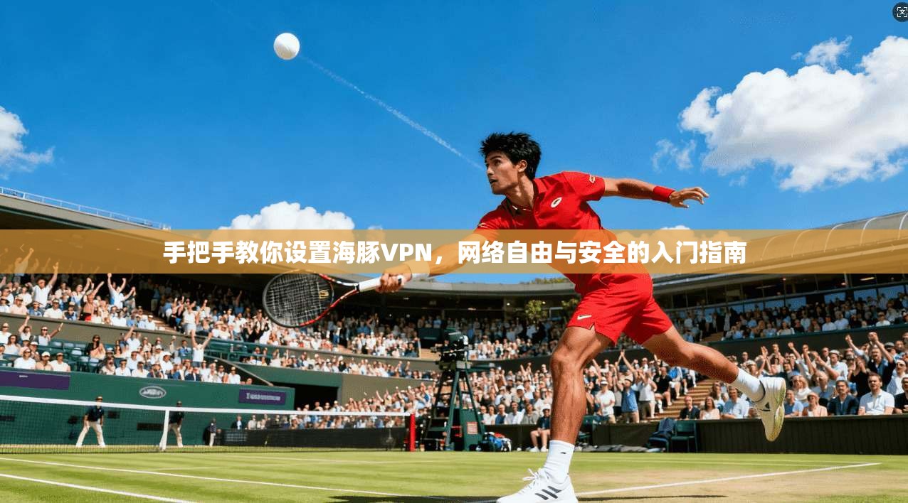 手把手教你设置海豚VPN，网络自由与安全的入门指南