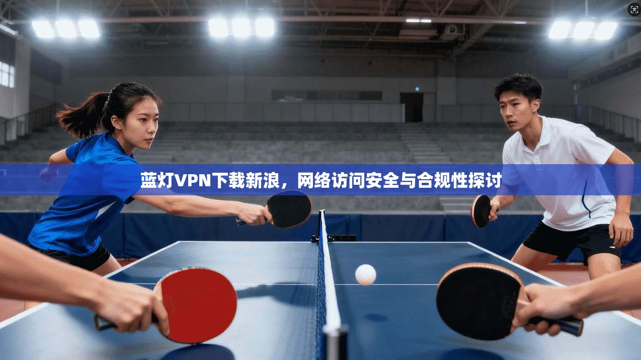 蓝灯VPN下载新浪，网络访问安全与合规性探讨