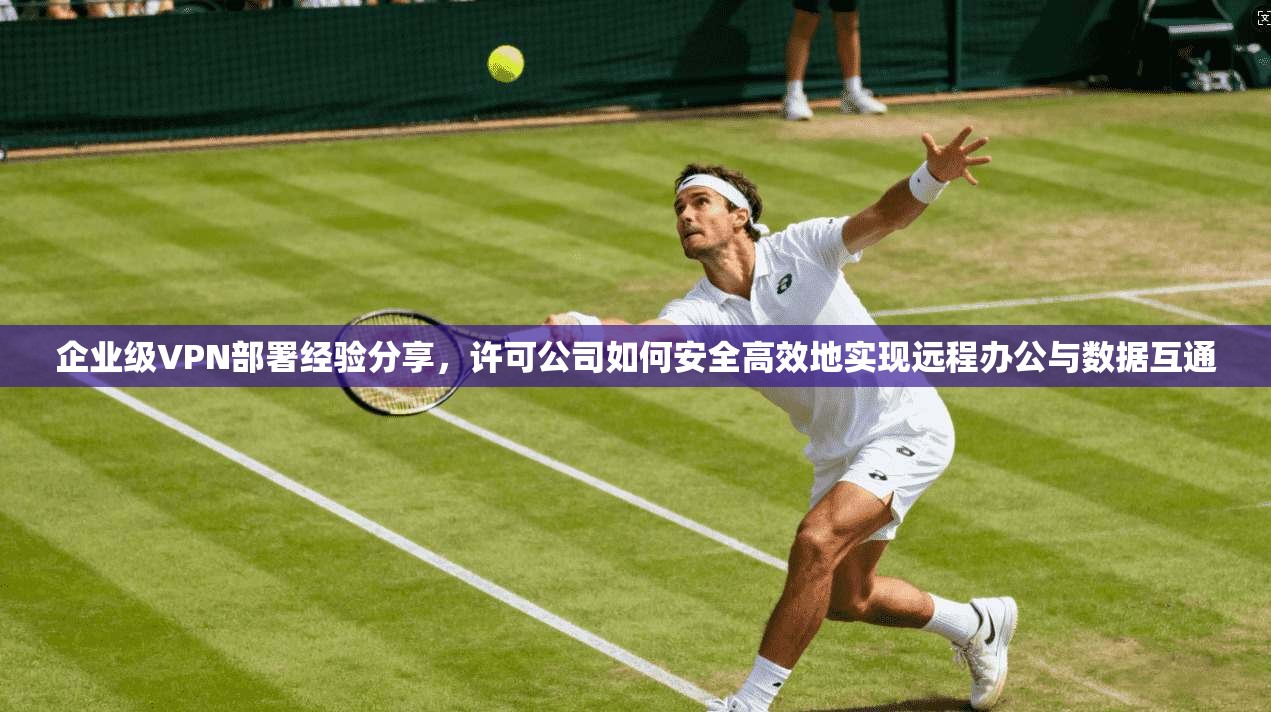 企业级VPN部署经验分享，许可公司如何安全高效地实现远程办公与数据互通