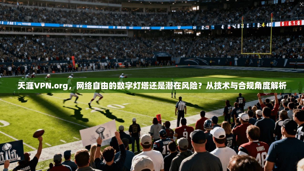 天涯VPN.org，网络自由的数字灯塔还是潜在风险？从技术与合规角度解析