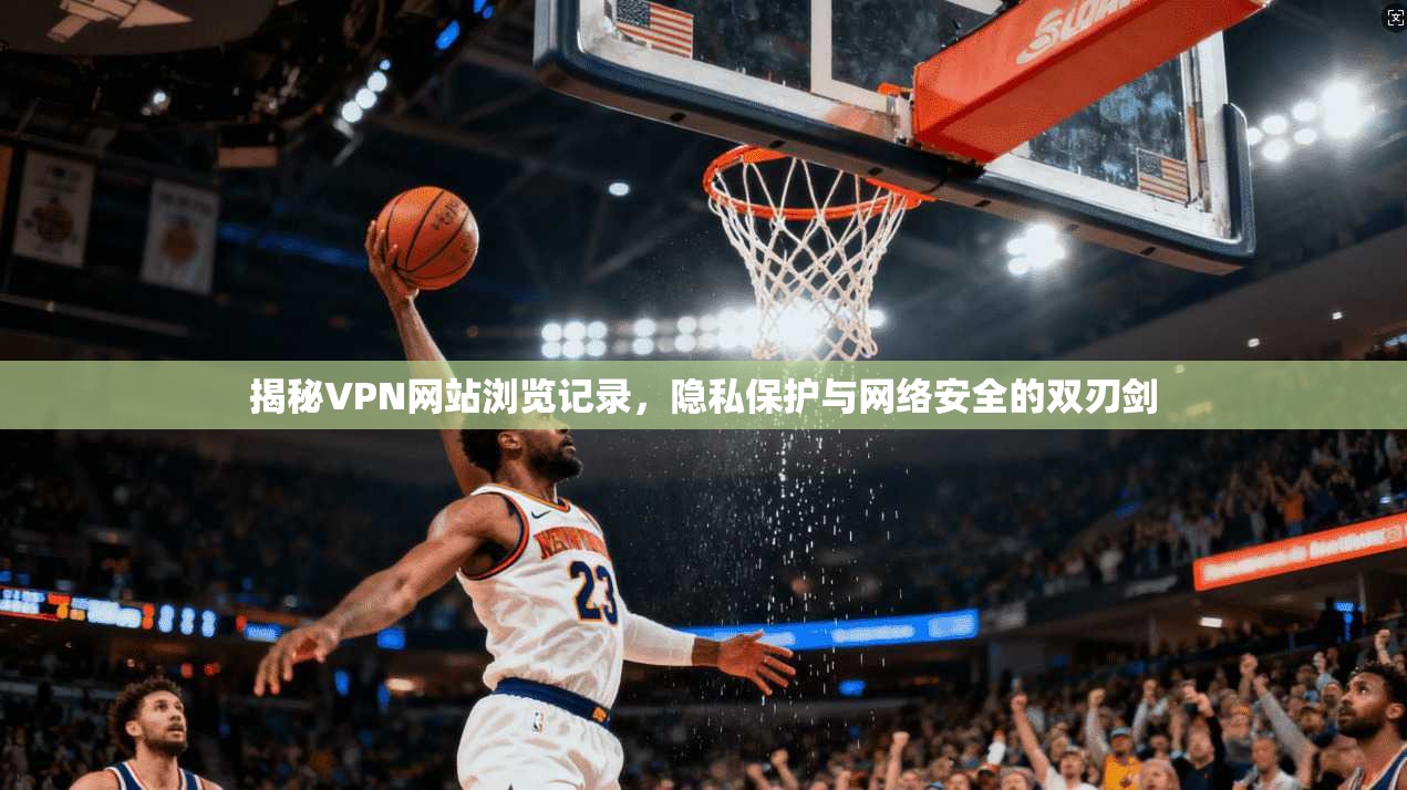 揭秘VPN网站浏览记录，隐私保护与网络安全的双刃剑