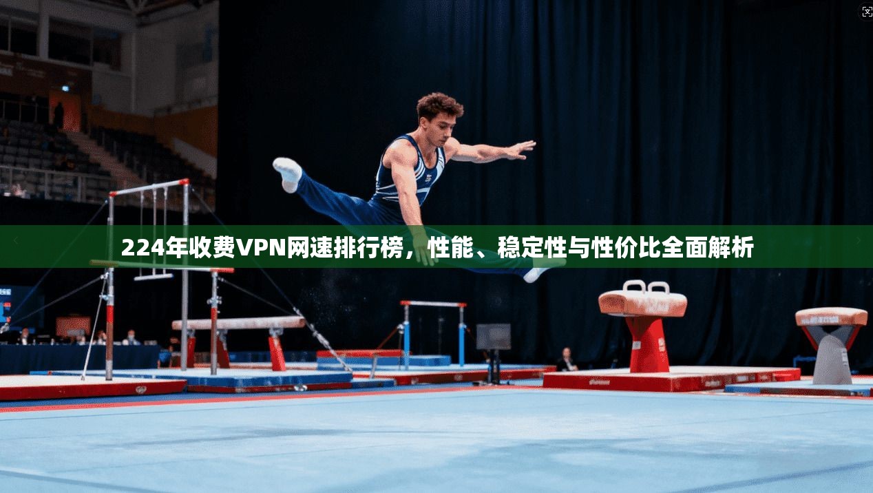 224年收费VPN网速排行榜，性能、稳定性与性价比全面解析