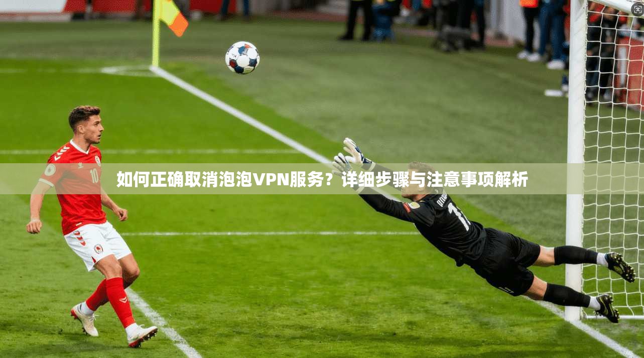 如何正确取消泡泡VPN服务？详细步骤与注意事项解析