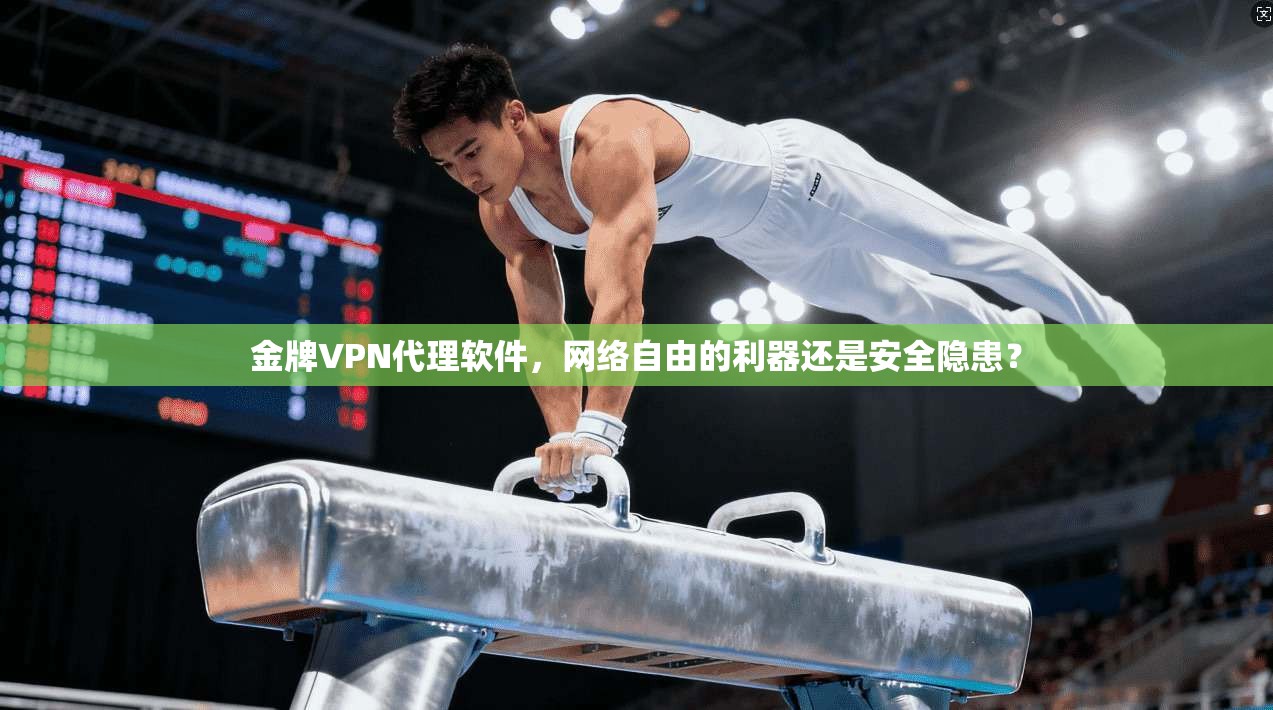金牌VPN代理软件，网络自由的利器还是安全隐患？