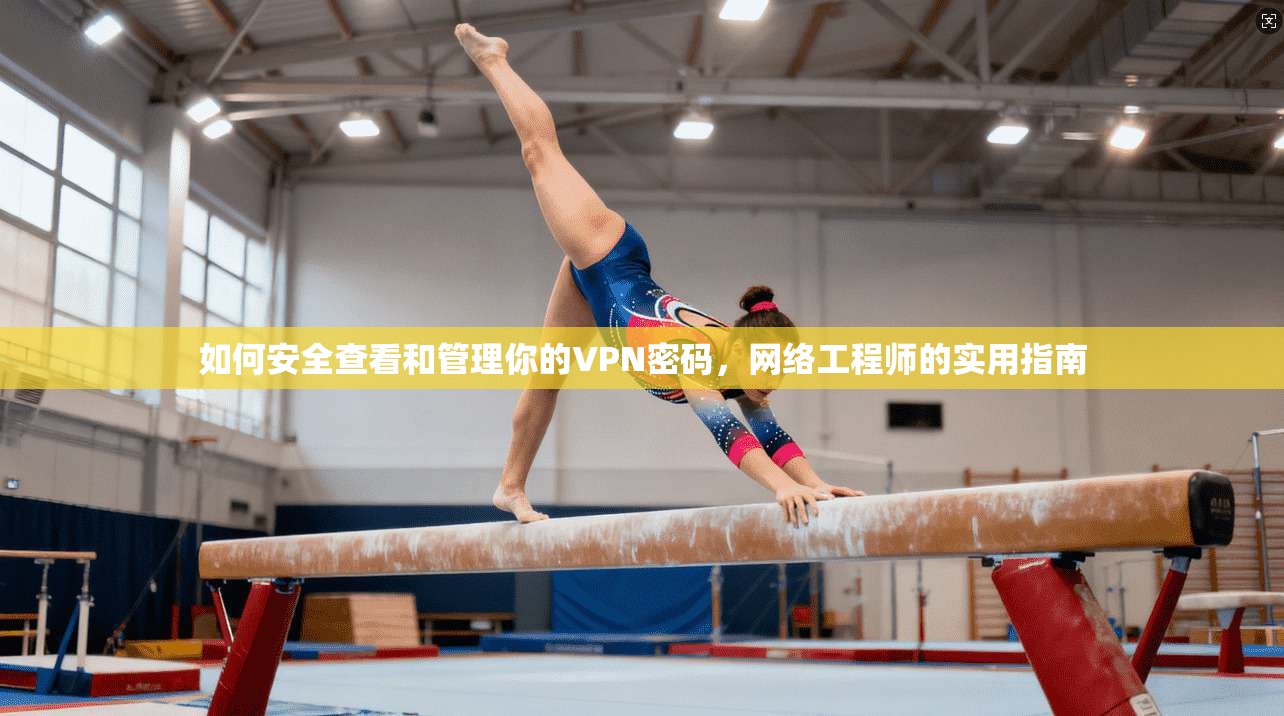 如何安全查看和管理你的VPN密码，网络工程师的实用指南