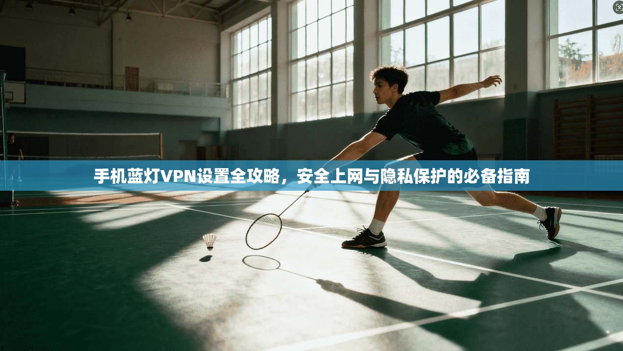 手机蓝灯VPN设置全攻略，安全上网与隐私保护的必备指南