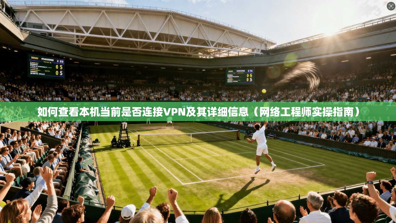 如何查看本机当前是否连接VPN及其详细信息（网络工程师实操指南）