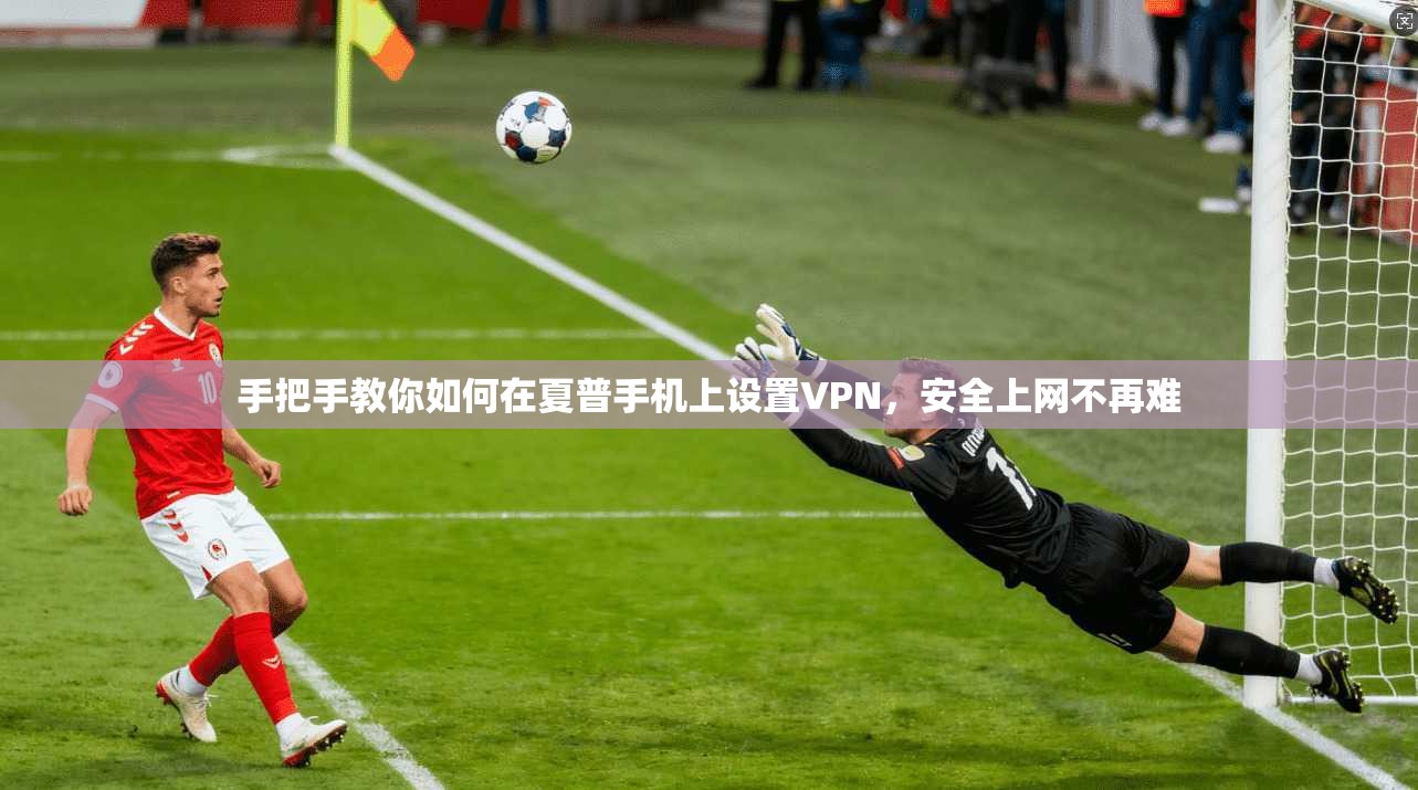 手把手教你如何在夏普手机上设置VPN，安全上网不再难