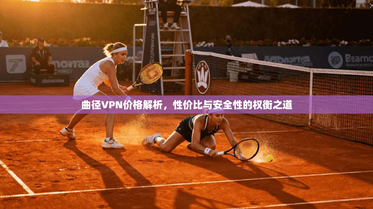 曲径VPN价格解析，性价比与安全性的权衡之道
