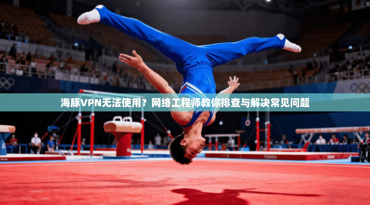海豚VPN无法使用？网络工程师教你排查与解决常见问题