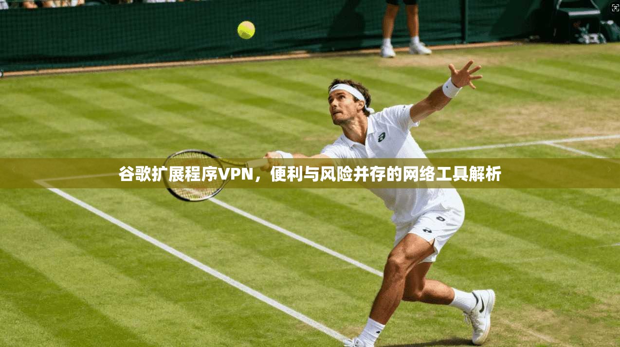 谷歌扩展程序VPN，便利与风险并存的网络工具解析