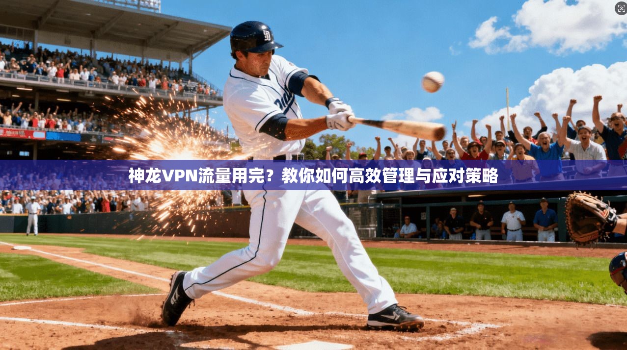 神龙VPN流量用完？教你如何高效管理与应对策略