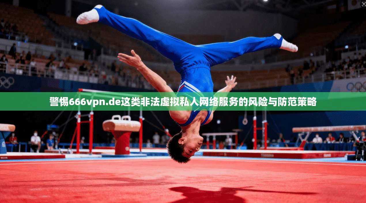 警惕666vpn.de这类非法虚拟私人网络服务的风险与防范策略