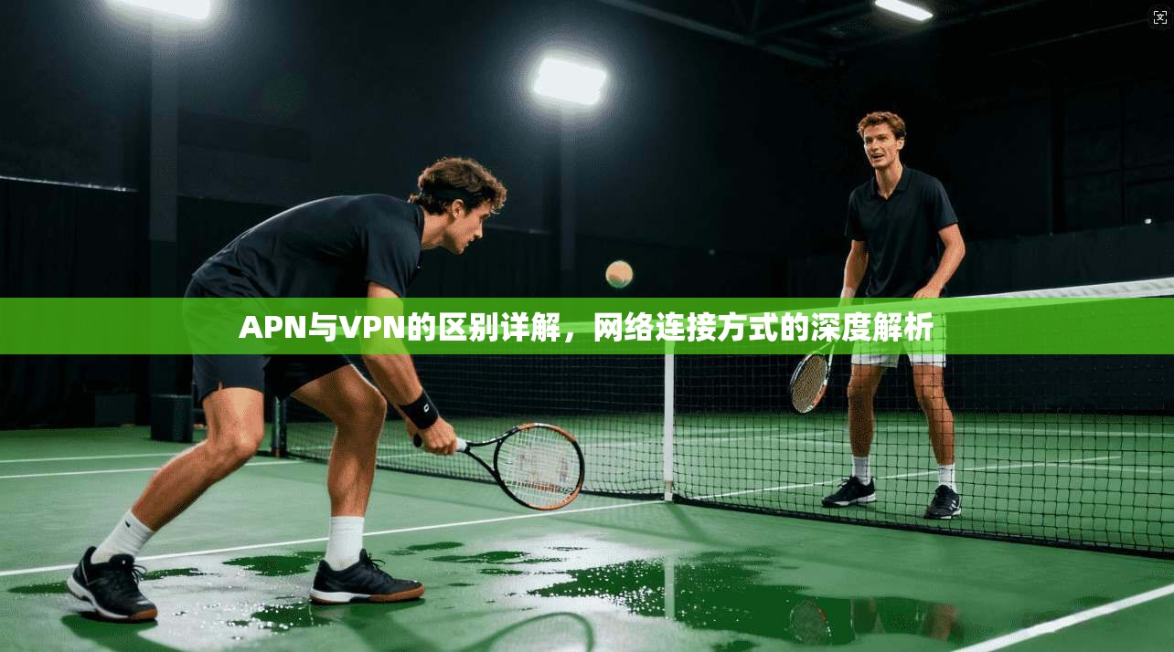 APN与VPN的区别详解，网络连接方式的深度解析