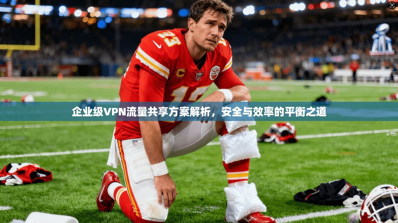 企业级VPN流量共享方案解析，安全与效率的平衡之道