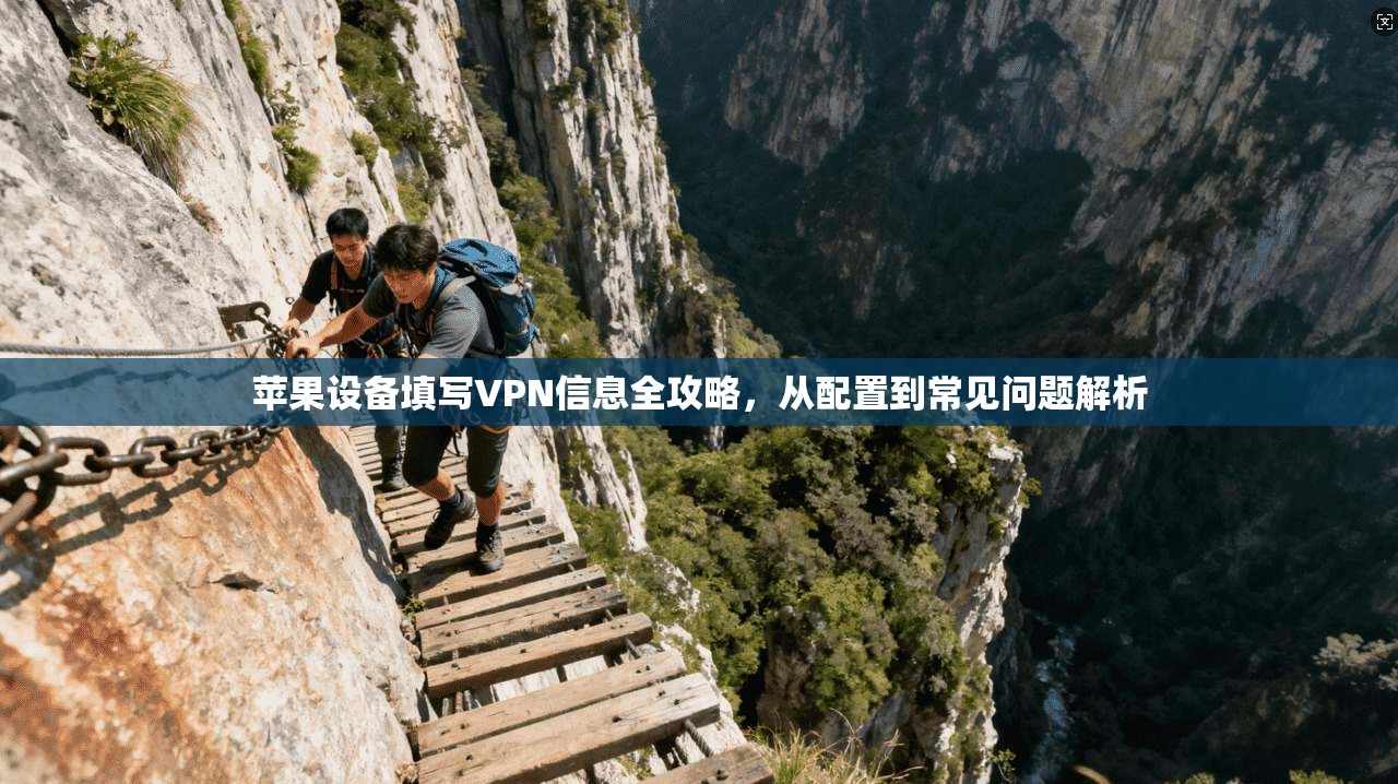 苹果设备填写VPN信息全攻略，从配置到常见问题解析