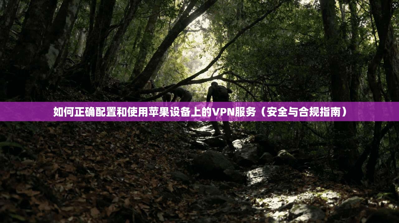 如何正确配置和使用苹果设备上的VPN服务（安全与合规指南）