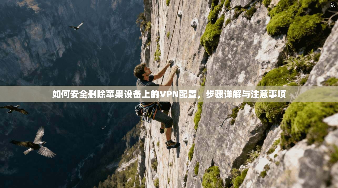 如何安全删除苹果设备上的VPN配置，步骤详解与注意事项
