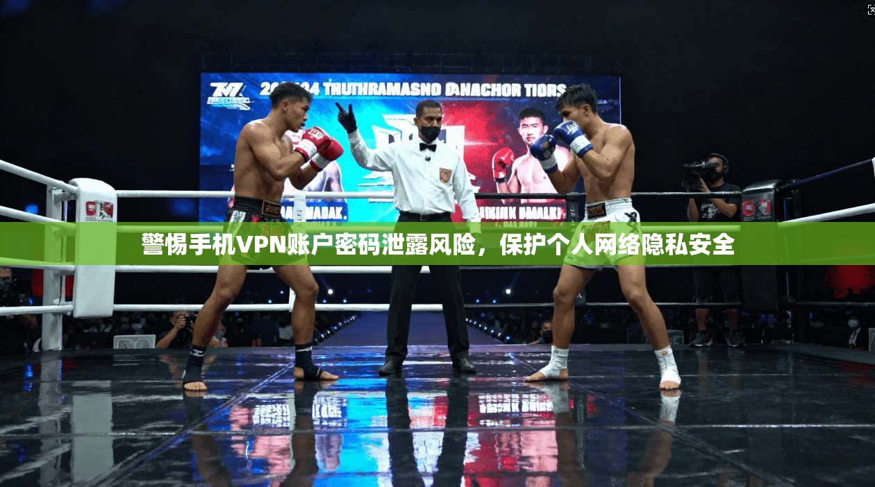 警惕手机VPN账户密码泄露风险，保护个人网络隐私安全