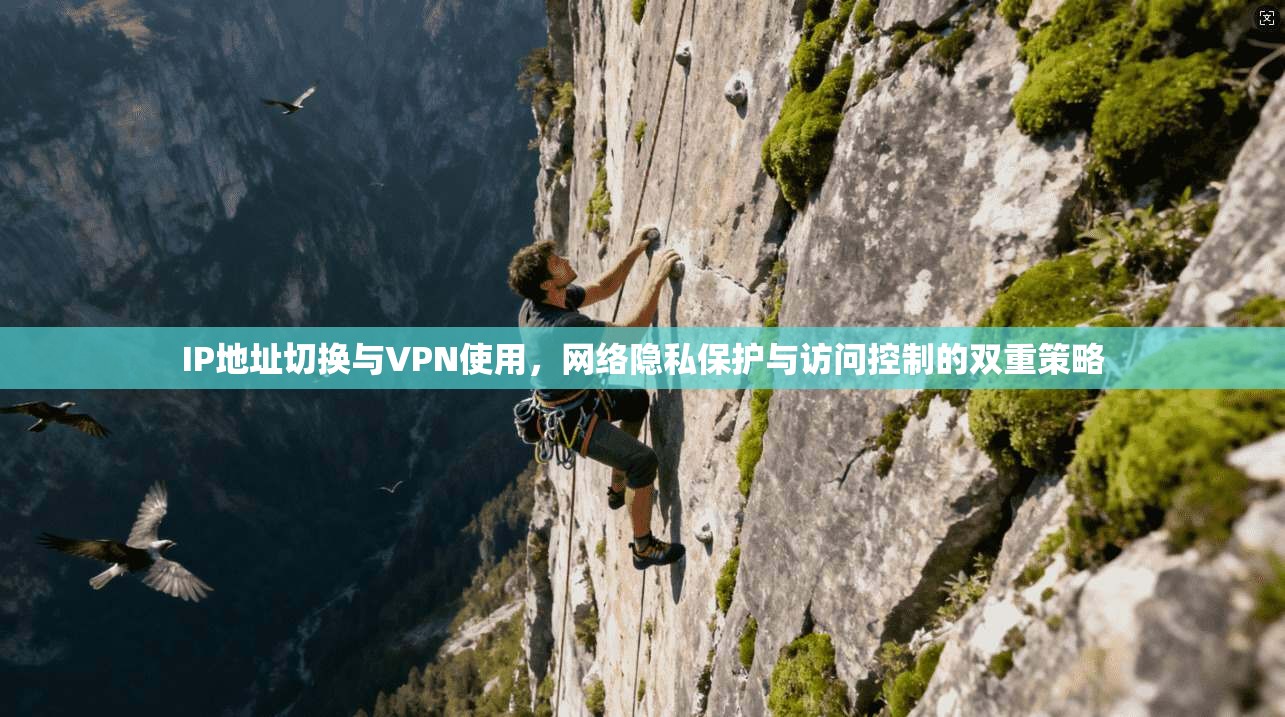 IP地址切换与VPN使用，网络隐私保护与访问控制的双重策略