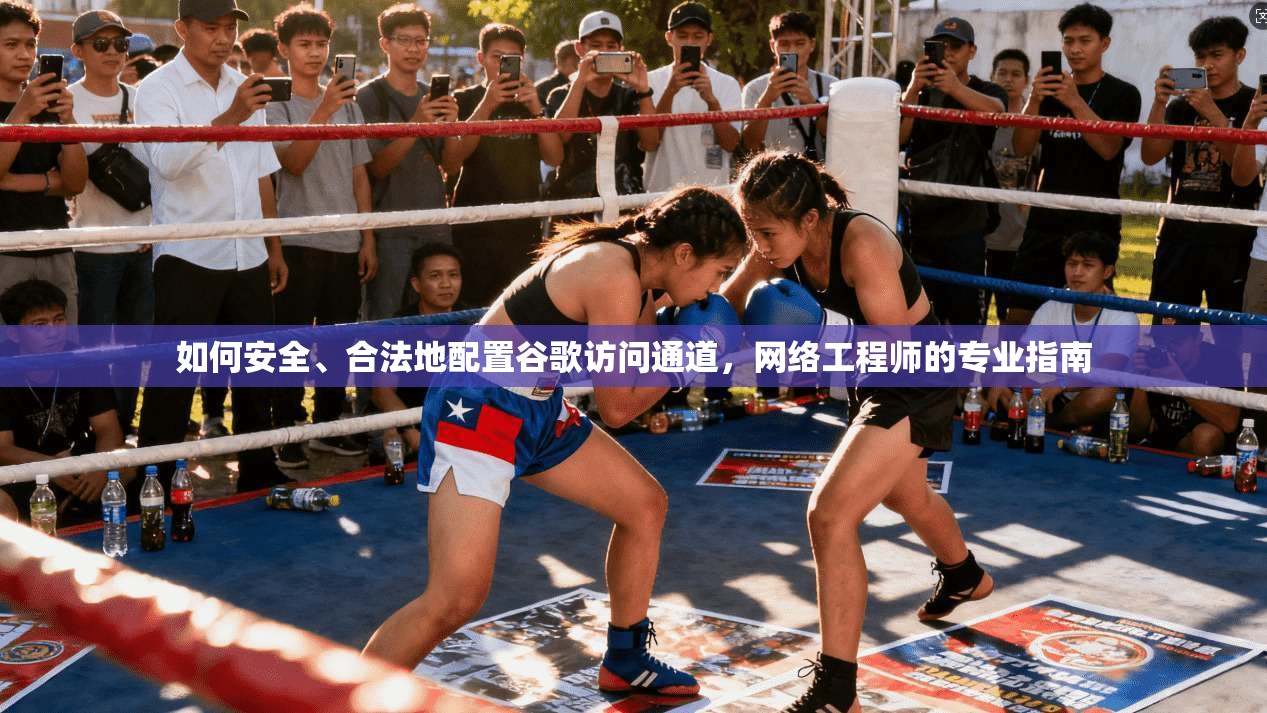 如何安全、合法地配置谷歌访问通道，网络工程师的专业指南