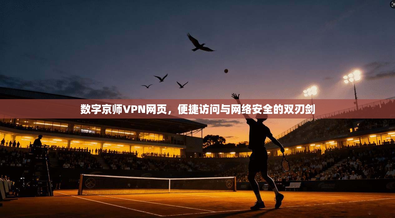 数字京师VPN网页，便捷访问与网络安全的双刃剑