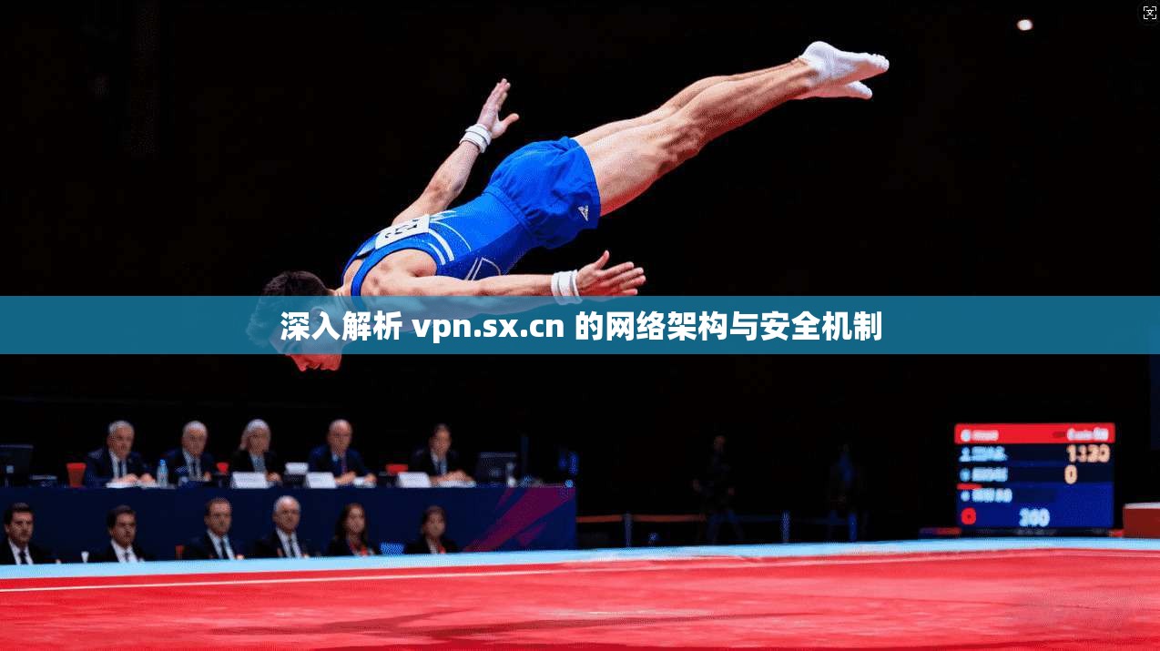 深入解析 vpn.sx.cn 的网络架构与安全机制