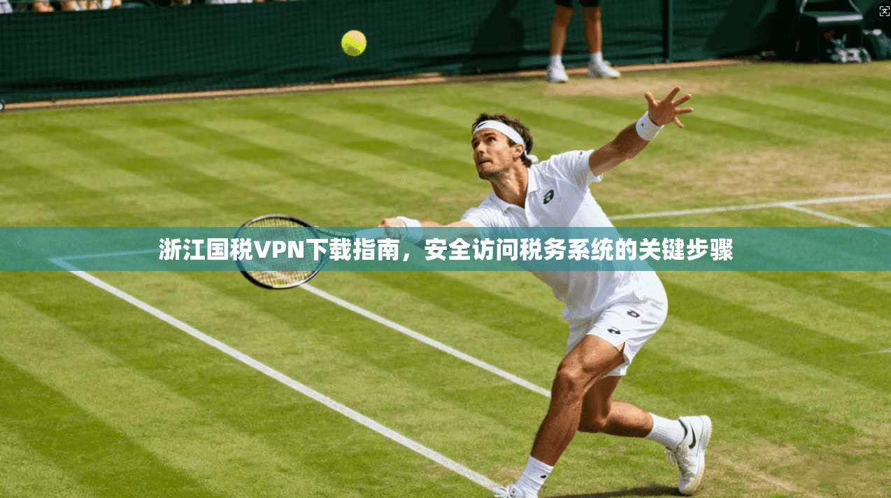 浙江国税VPN下载指南，安全访问税务系统的关键步骤