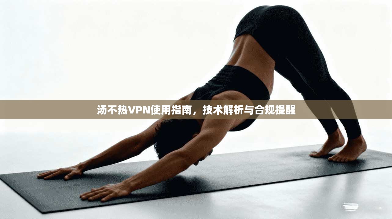 汤不热VPN使用指南,技术解析与合规提醒 汤不热VPN使用指南,技术解析与合规提醒