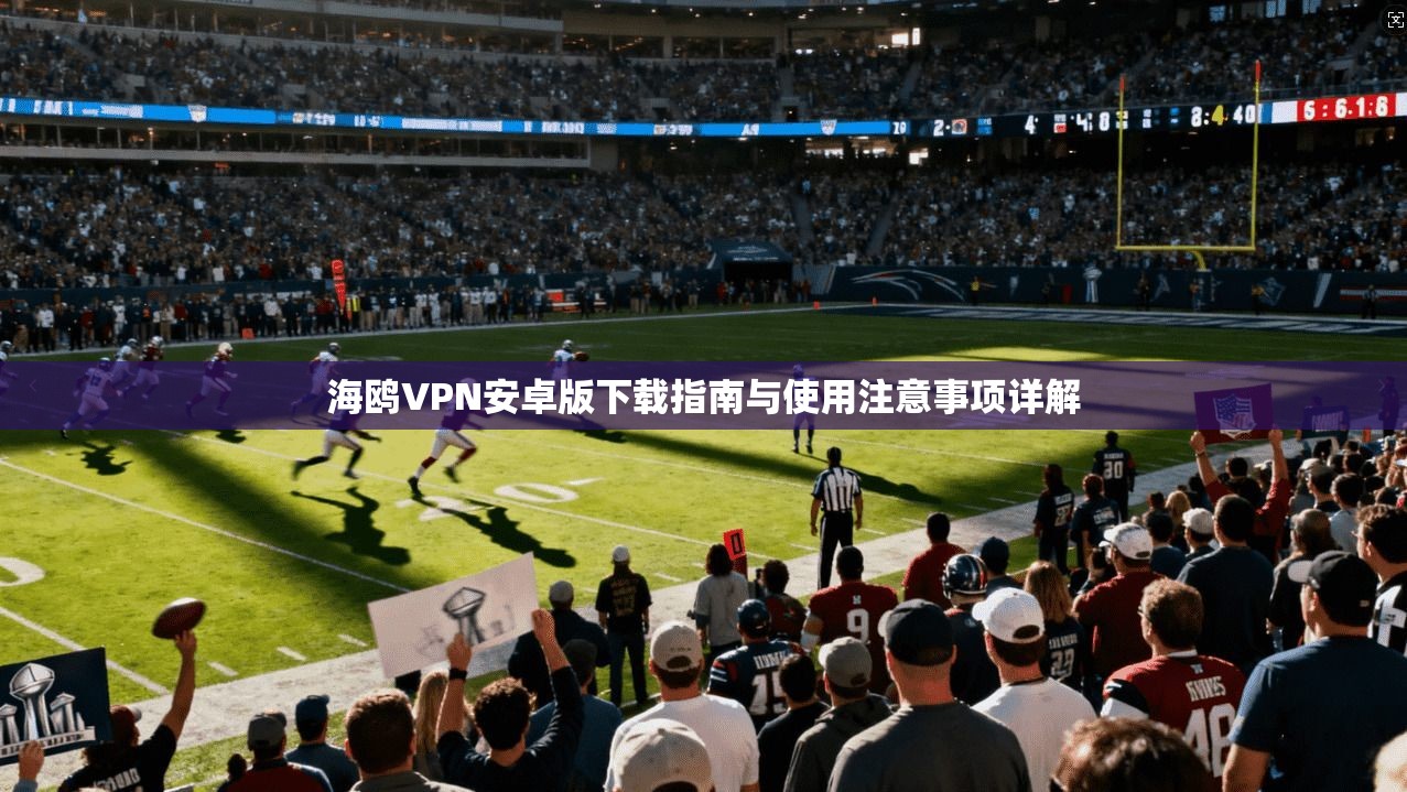 海鸥VPN安卓版下载指南与使用注意事项详解 海鸥VPN安卓版下载指南与使用注意事项详解