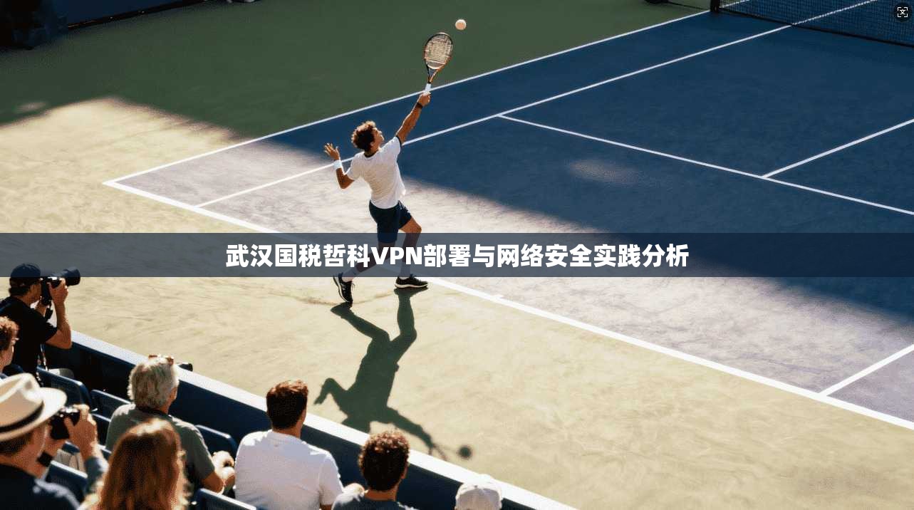 武汉国税哲科VPN部署与网络安全实践分析 武汉国税哲科VPN部署与网络安全实践分析