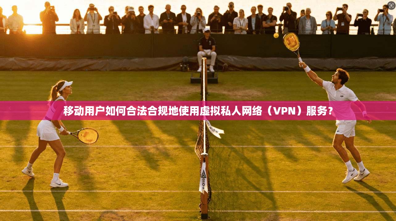 移动用户如何合法合规地使用虚拟私人网络（VPN）服务？
