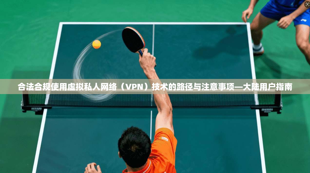合法合规使用虚拟私人网络（VPN）技术的路径与注意事项—大陆用户指南
