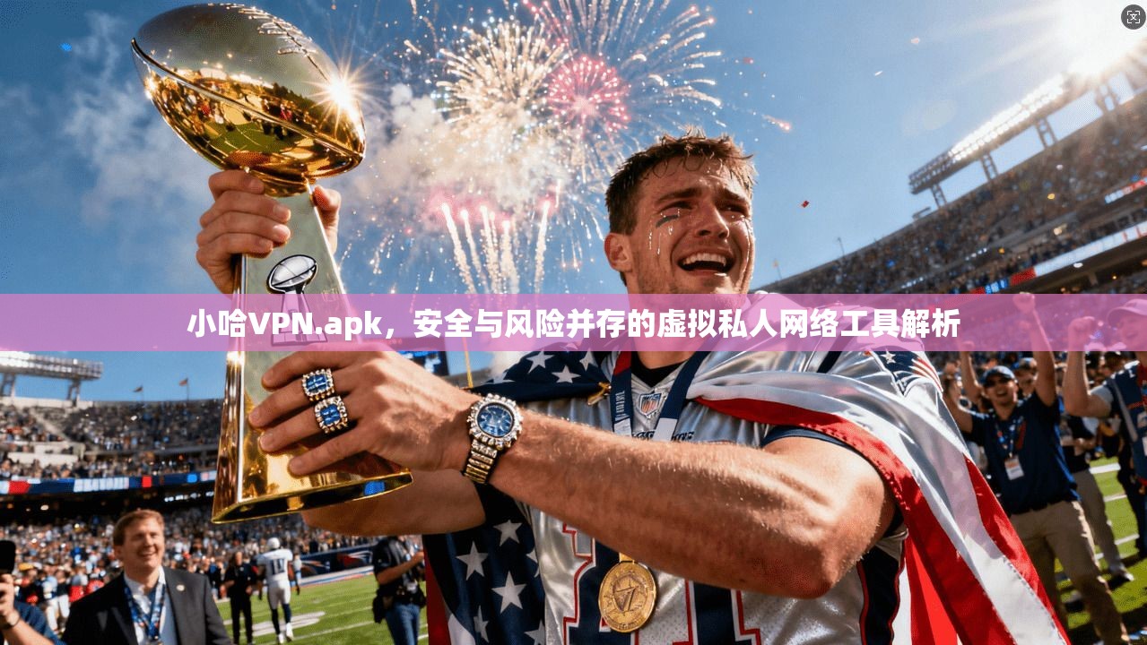 小哈VPN.apk，安全与风险并存的虚拟私人网络工具解析