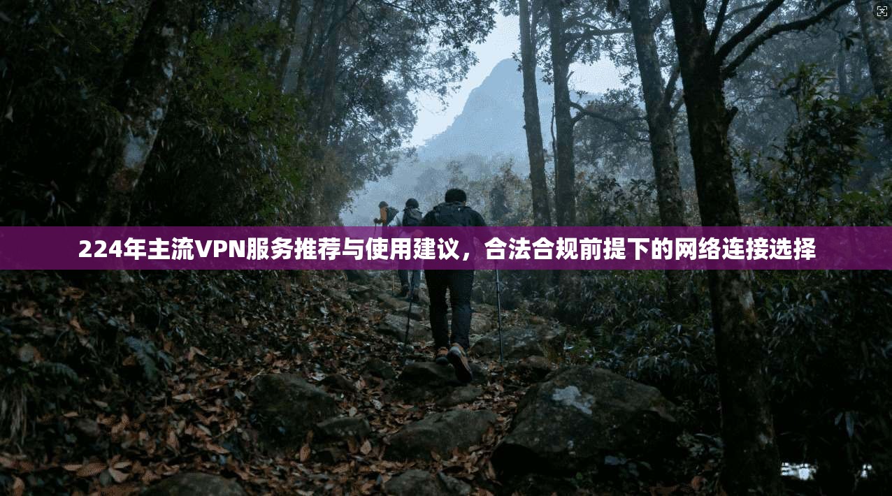 224年主流VPN服务推荐与使用建议，合法合规前提下的网络连接选择