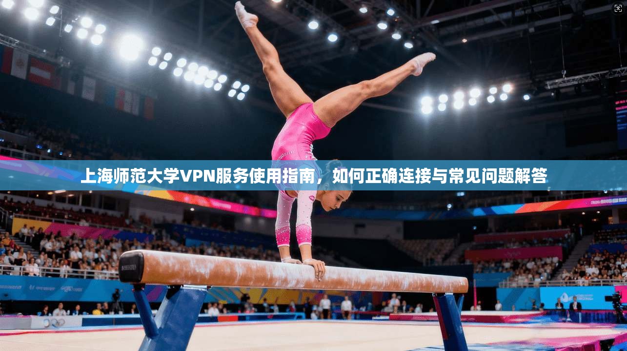 上海师范大学VPN服务使用指南，如何正确连接与常见问题解答