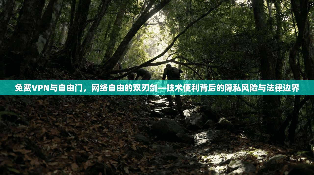 免费VPN与自由门，网络自由的双刃剑—技术便利背后的隐私风险与法律边界