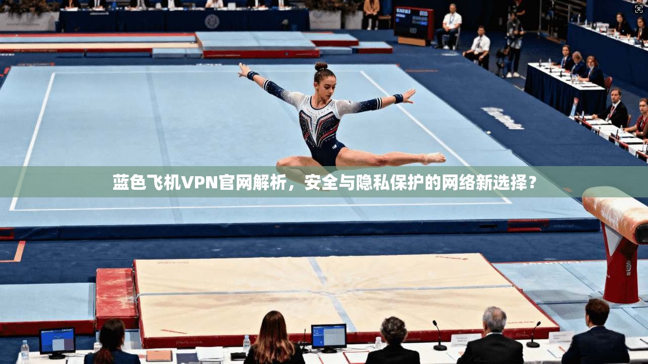 蓝色飞机VPN官网解析，安全与隐私保护的网络新选择？
