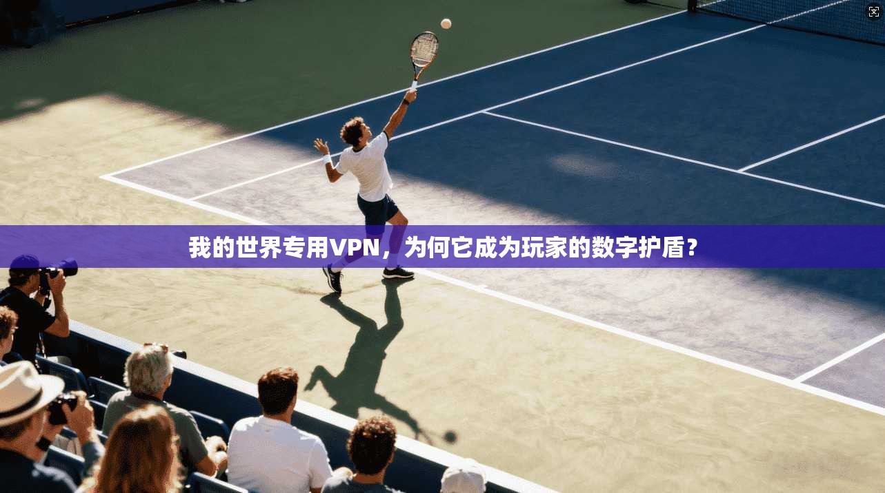 我的世界专用VPN，为何它成为玩家的数字护盾？