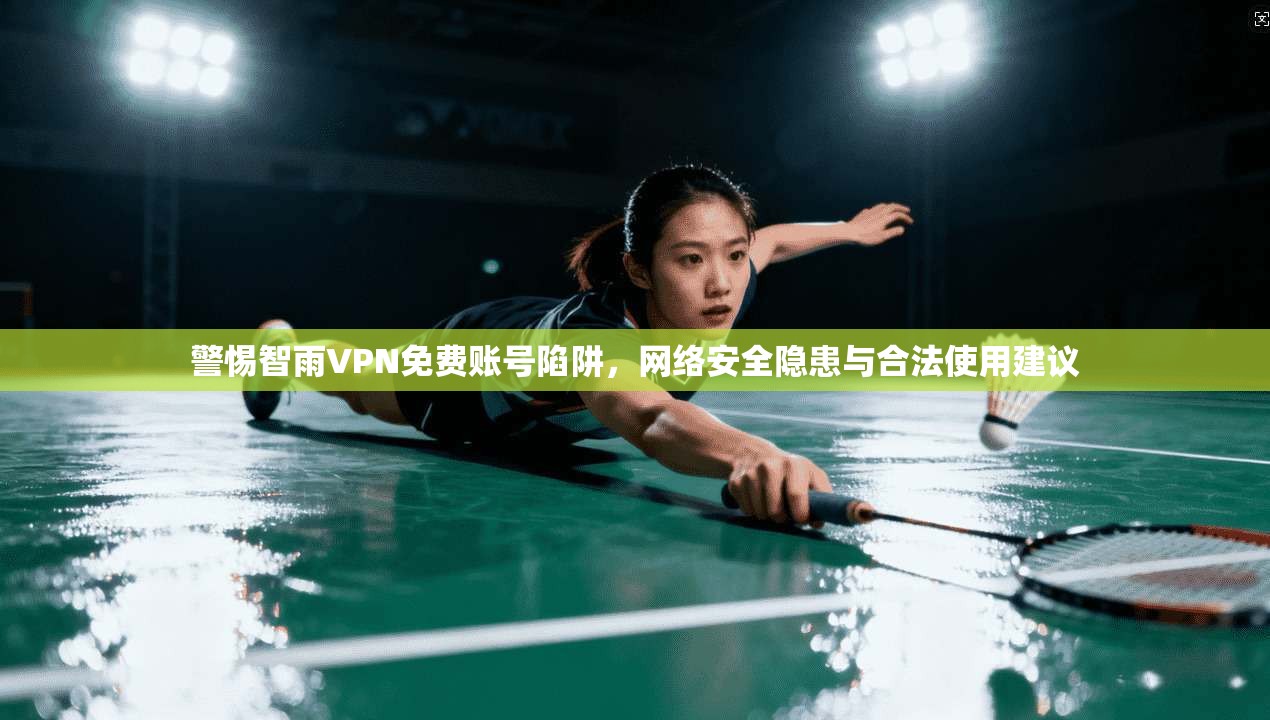 警惕智雨VPN免费账号陷阱，网络安全隐患与合法使用建议