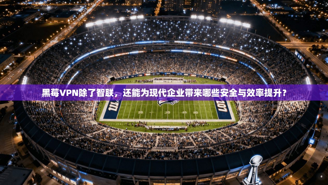 黑莓VPN除了智联，还能为现代企业带来哪些安全与效率提升？