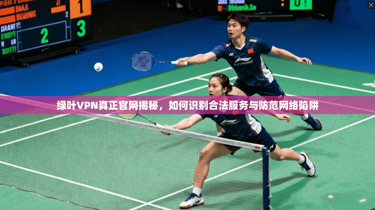 绿叶VPN真正官网揭秘，如何识别合法服务与防范网络陷阱