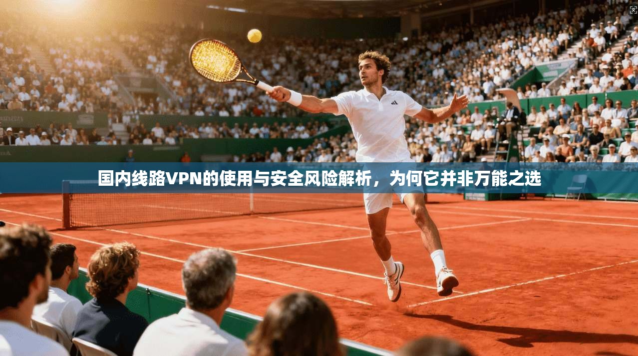国内线路VPN的使用与安全风险解析，为何它并非万能之选