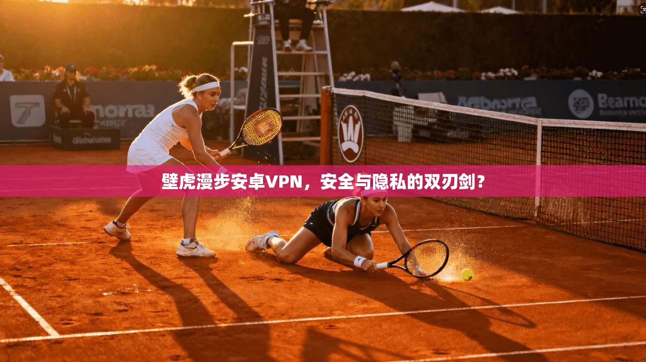 壁虎漫步安卓VPN,安全与隐私的双刃剑? 壁虎漫步安卓VPN,安全与隐私的双刃剑?