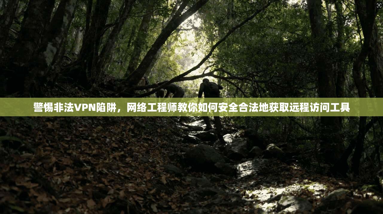 警惕非法VPN陷阱，网络工程师教你如何安全合法地获取远程访问工具