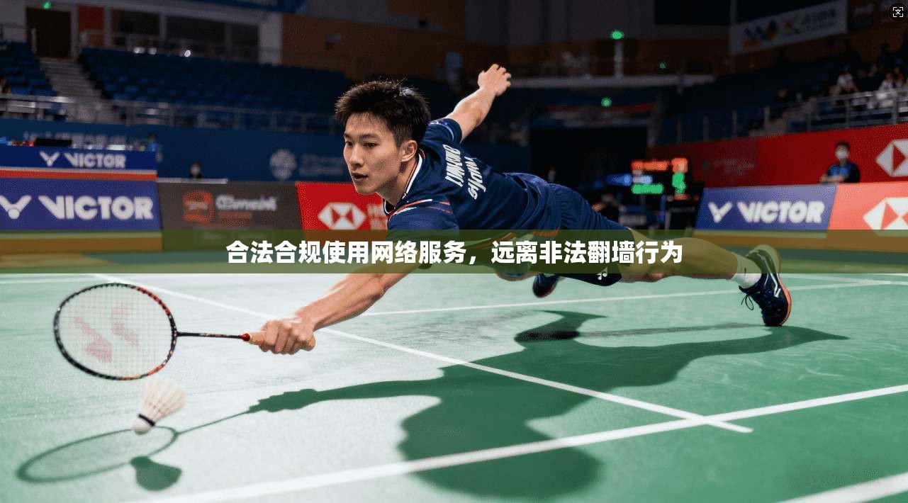 合法合规使用网络服务，远离非法翻墙行为