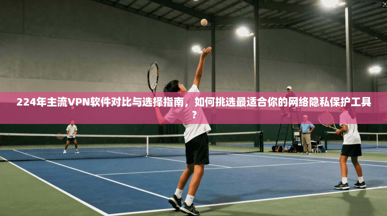 224年主流VPN软件对比与选择指南，如何挑选最适合你的网络隐私保护工具？
