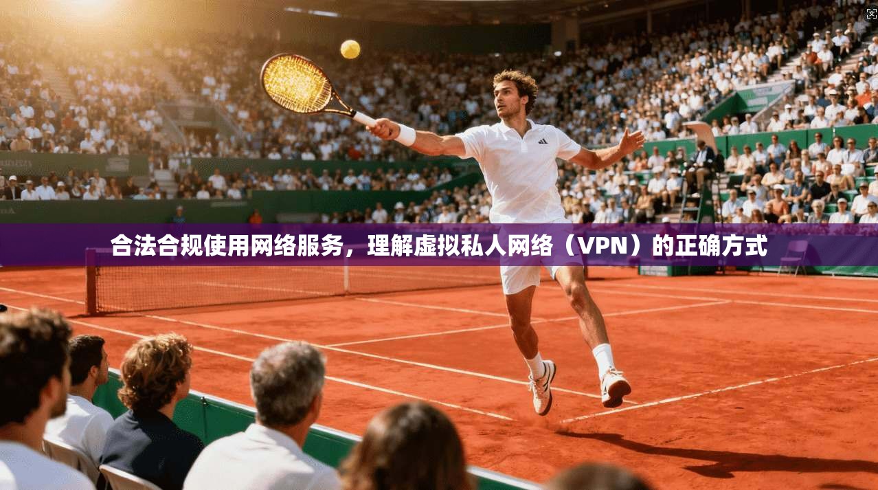 合法合规使用网络服务，理解虚拟私人网络（VPN）的正确方式