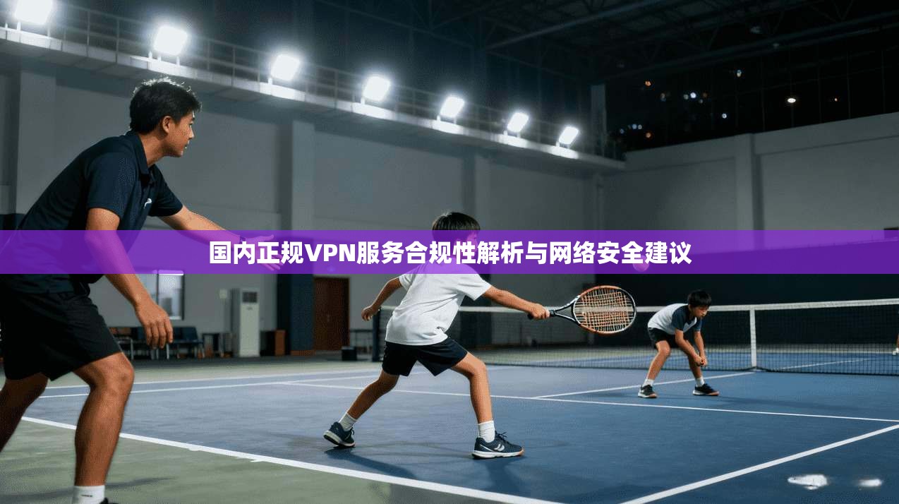 国内正规VPN服务合规性解析与网络安全建议