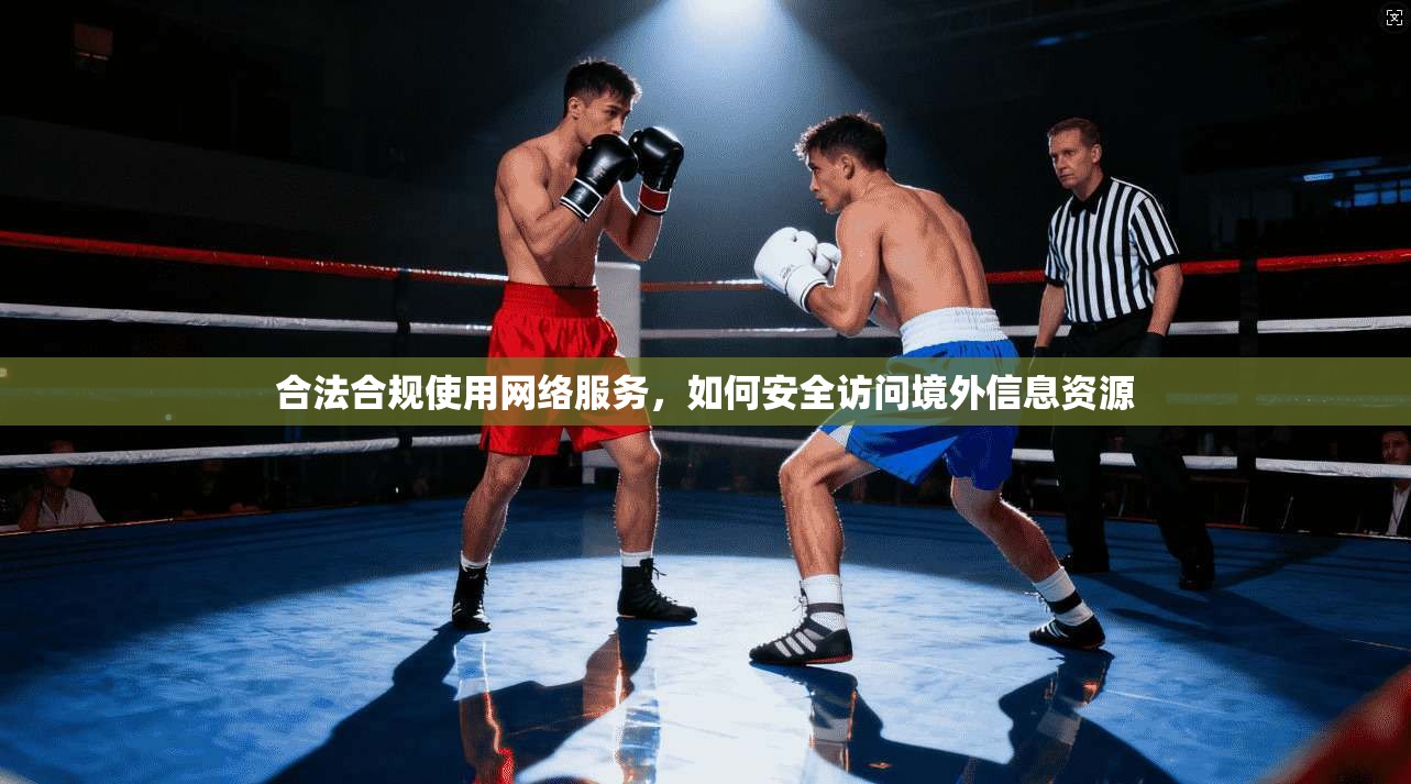 合法合规使用网络服务，如何安全访问境外信息资源